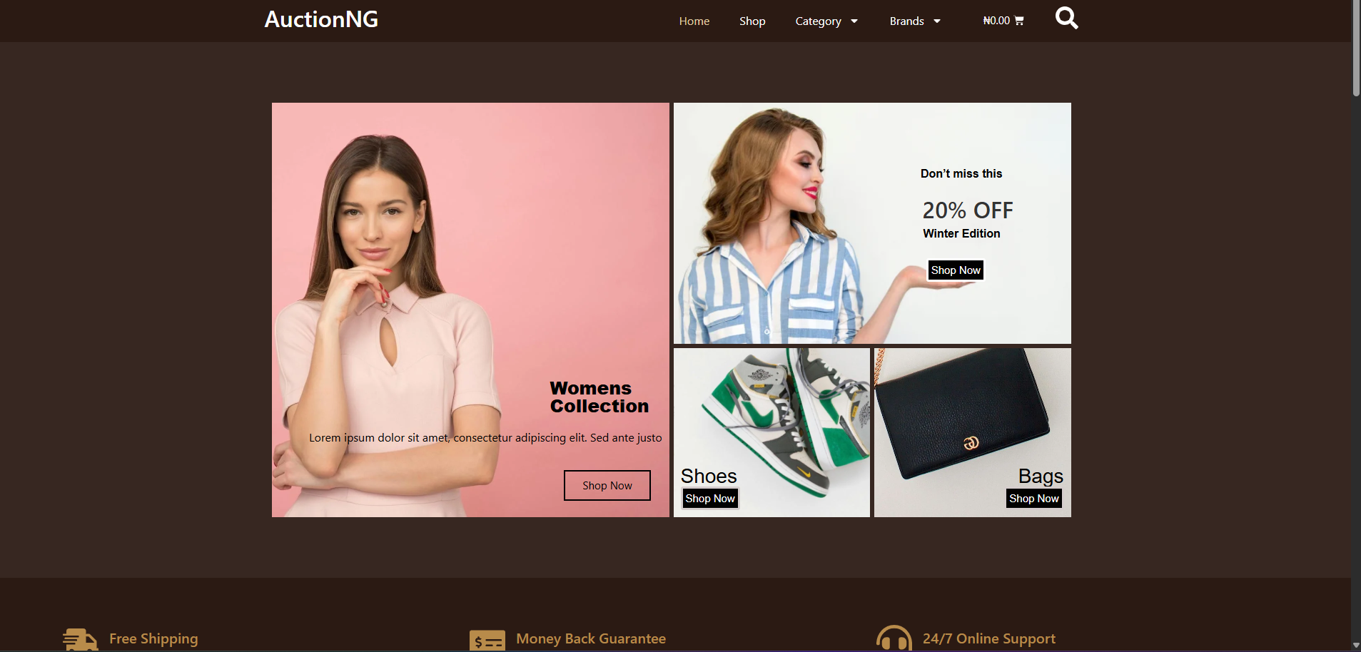 Web development project